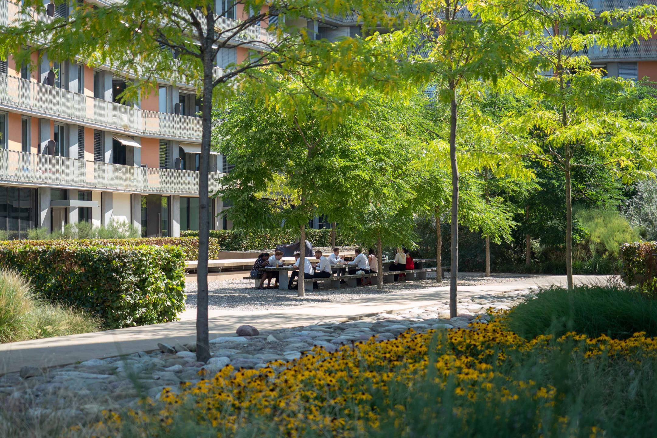 Zürich Gleisdreieck