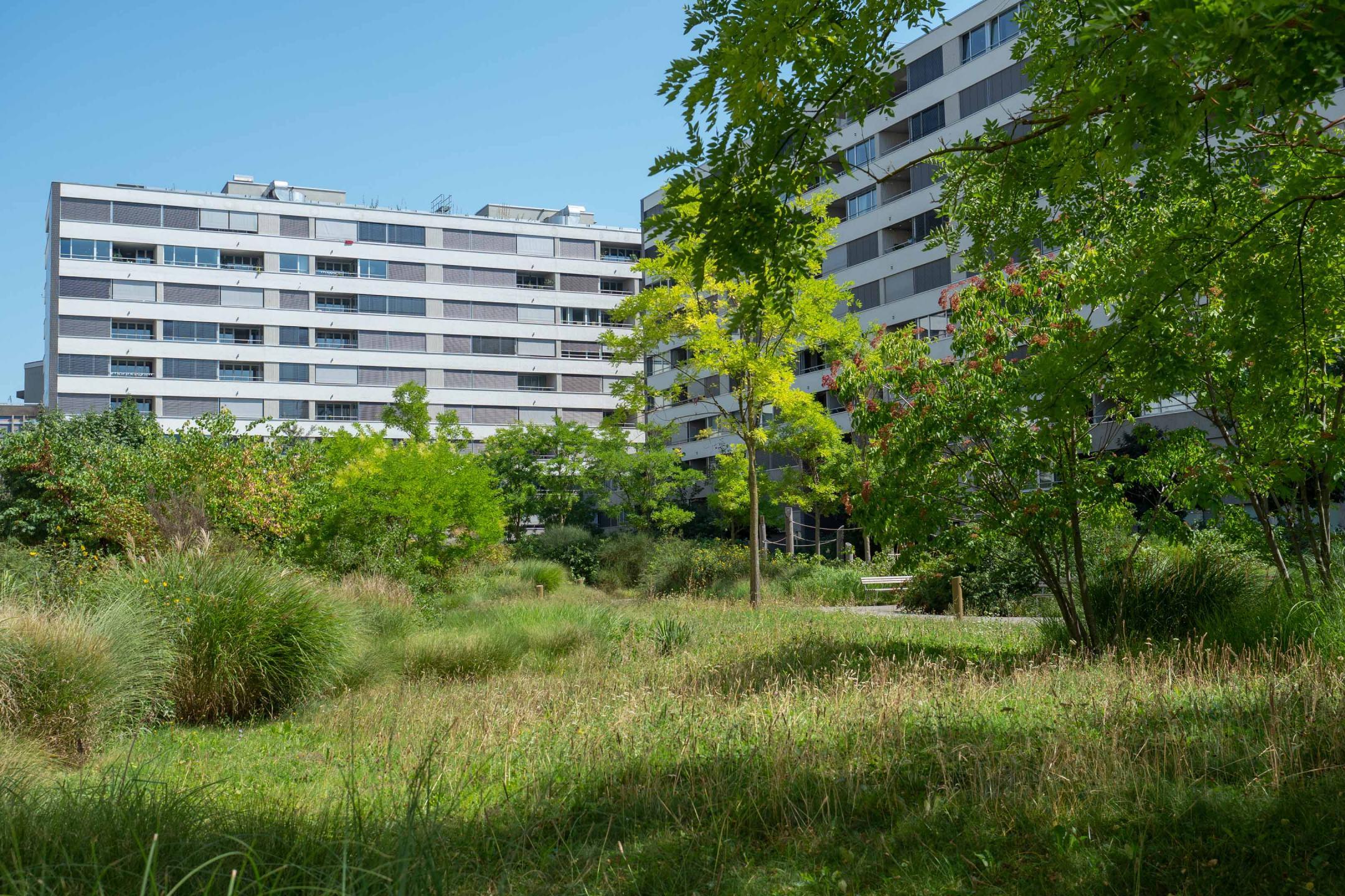 Zürich, Maaghof: Grosszügiger, naturnah gestalteter Innenhof ergänzt die dichte Bebauung.