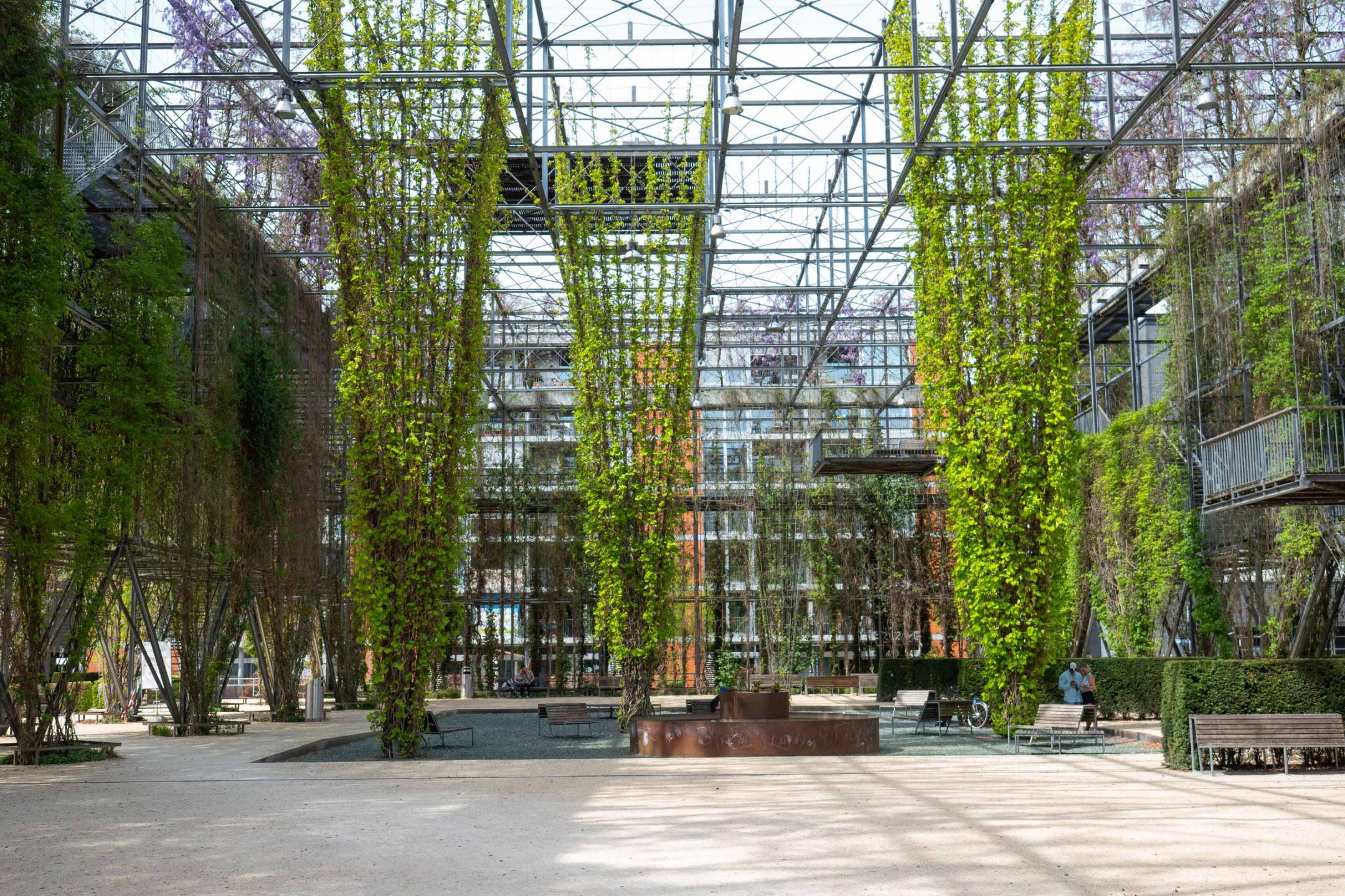 Zürich, MFO-Park: Heller Kies ermöglicht Begehbarkeit und bildet einen angenehmen Kontrast zu den begrünten Fassaden.