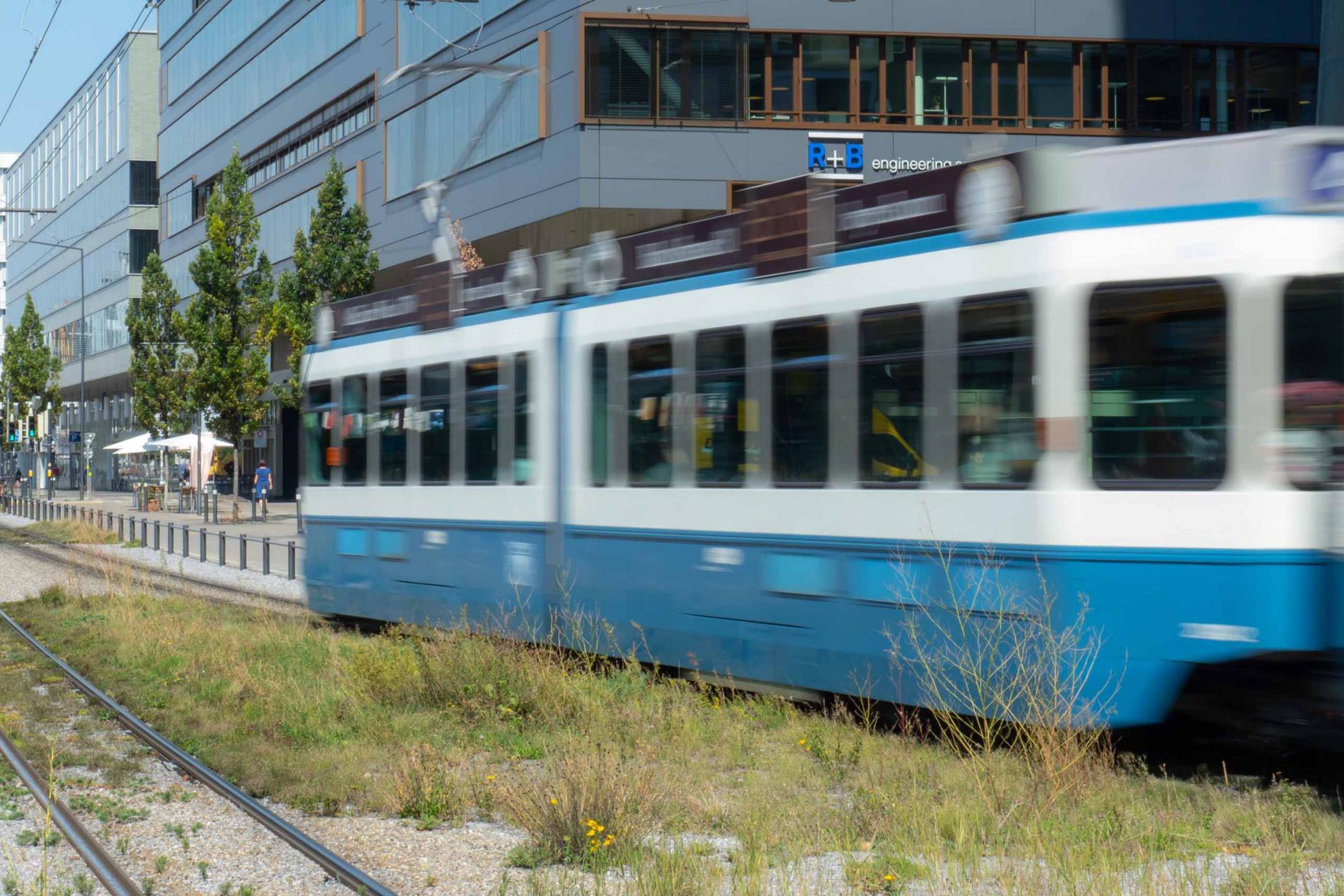 Zürich, Pfingstweidstrasse: Ein grünes Tramtrassée ist ökologisch wertvoll und trägt zur Hitzeminderung bei.