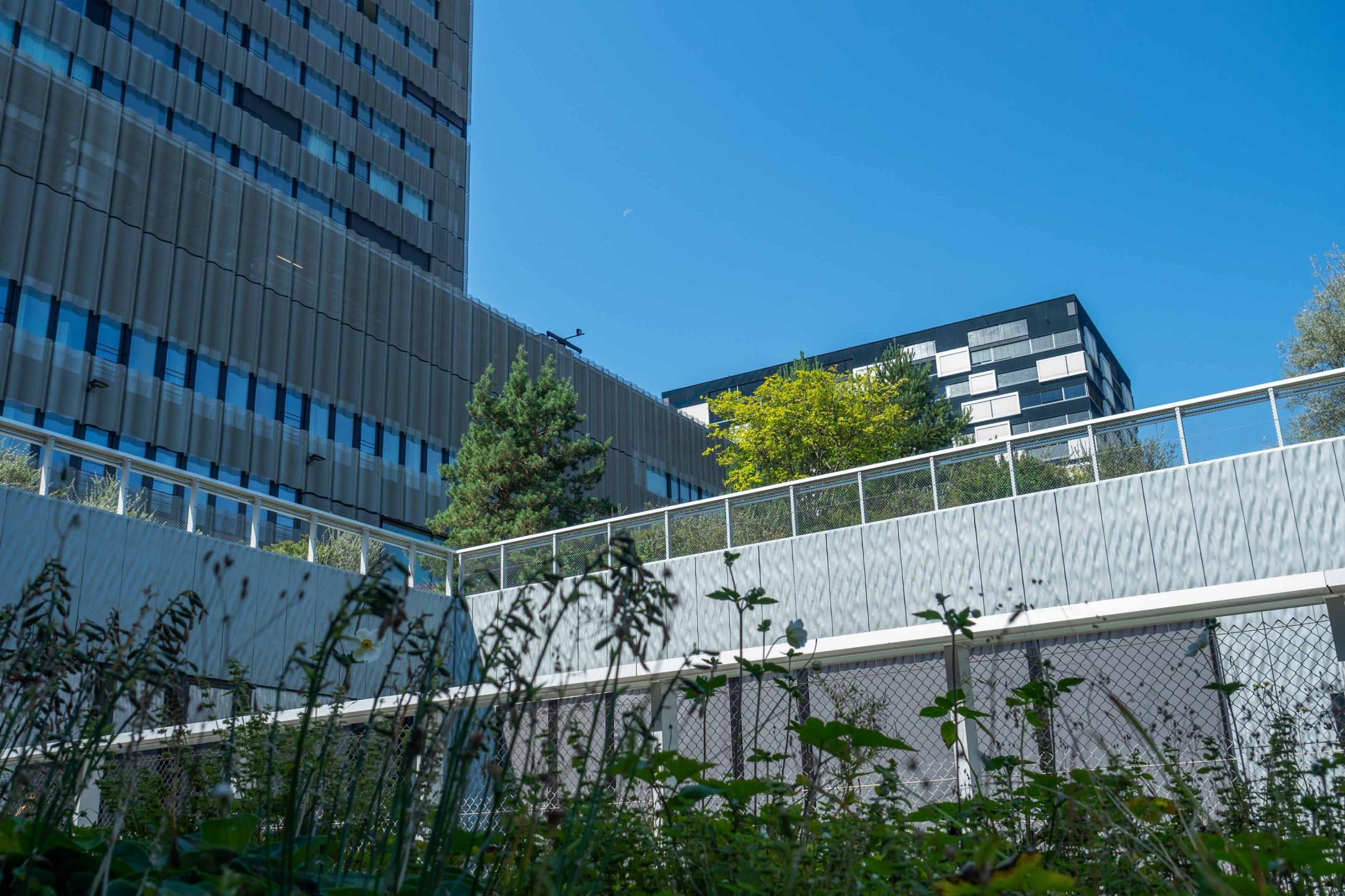 Zürich, Toni-Areal: Die begrünte Dachterrassenlandschaft ist schweizweit ein Vorbild. 