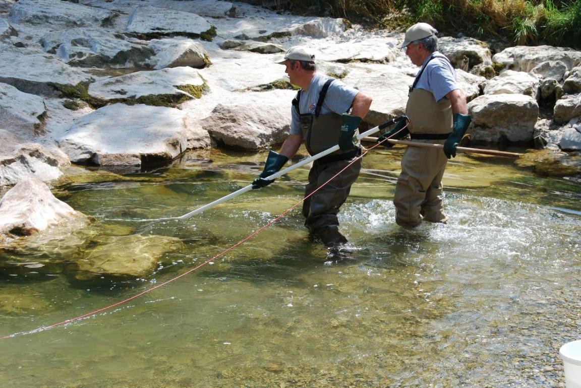 Zwei Männer siedeln in der Töss Fische um.