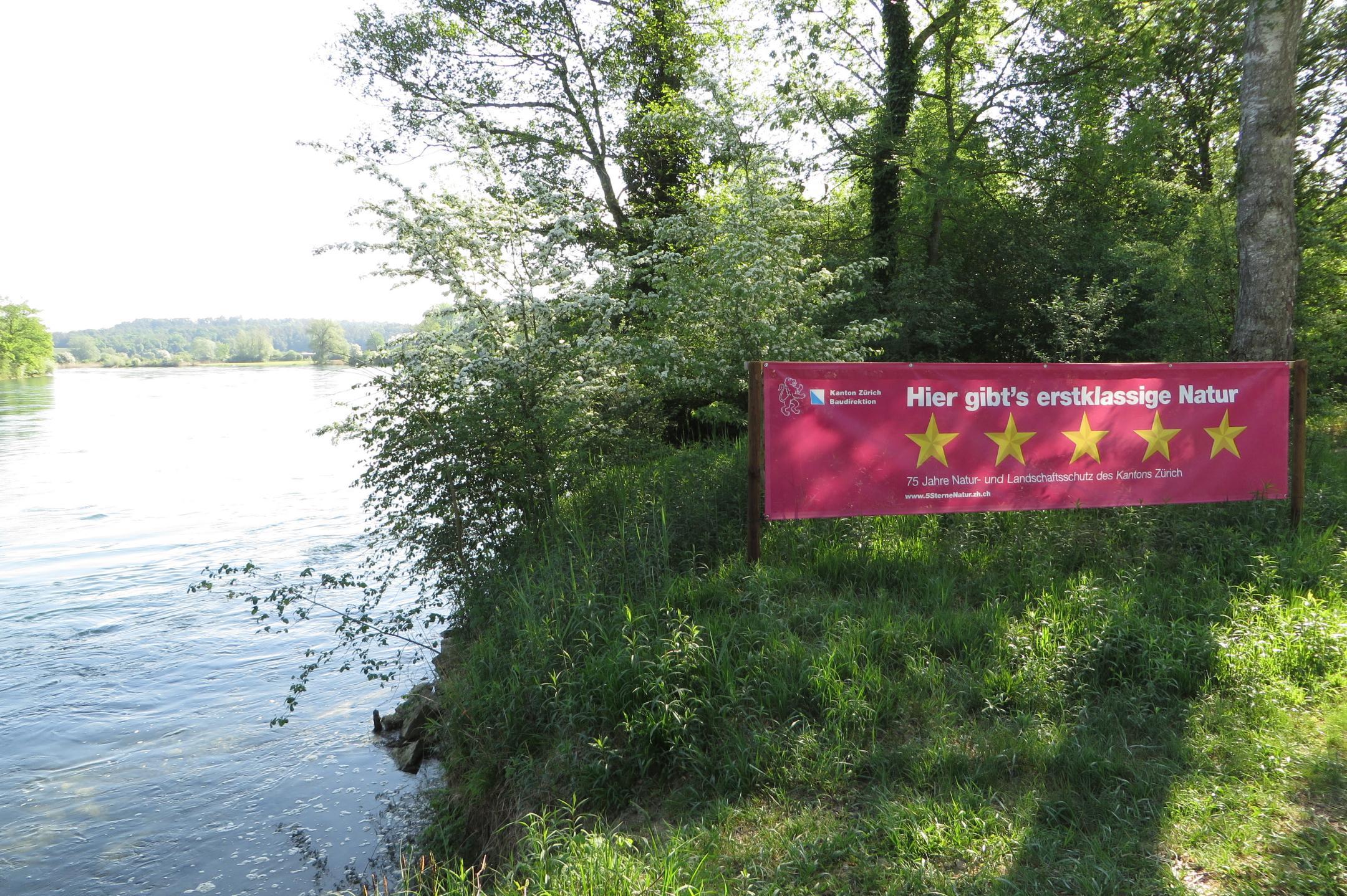 Ein rosarotes Banner mit 5 Sternen (5-Sterne-Natur) aufgestellt vor einer wilden Natur am Thurspitz, wo Rhein und Thur zusammenfliessen