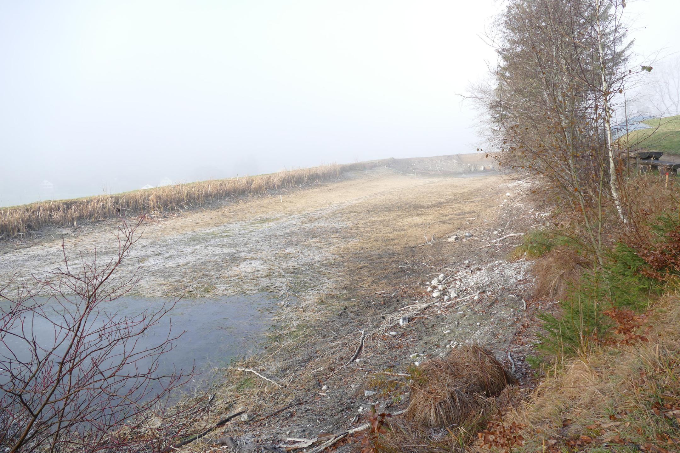 Fahrenbühlweiher nach dem Ablassen des Wassers.