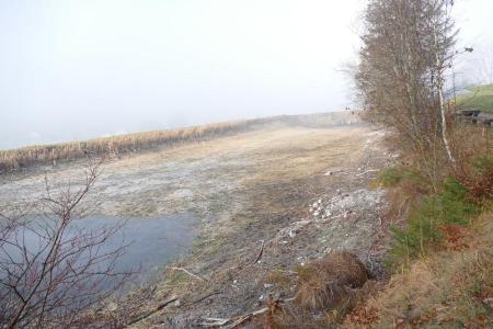 Fahrenbühlweiher nach dem Ablassen des Wassers.