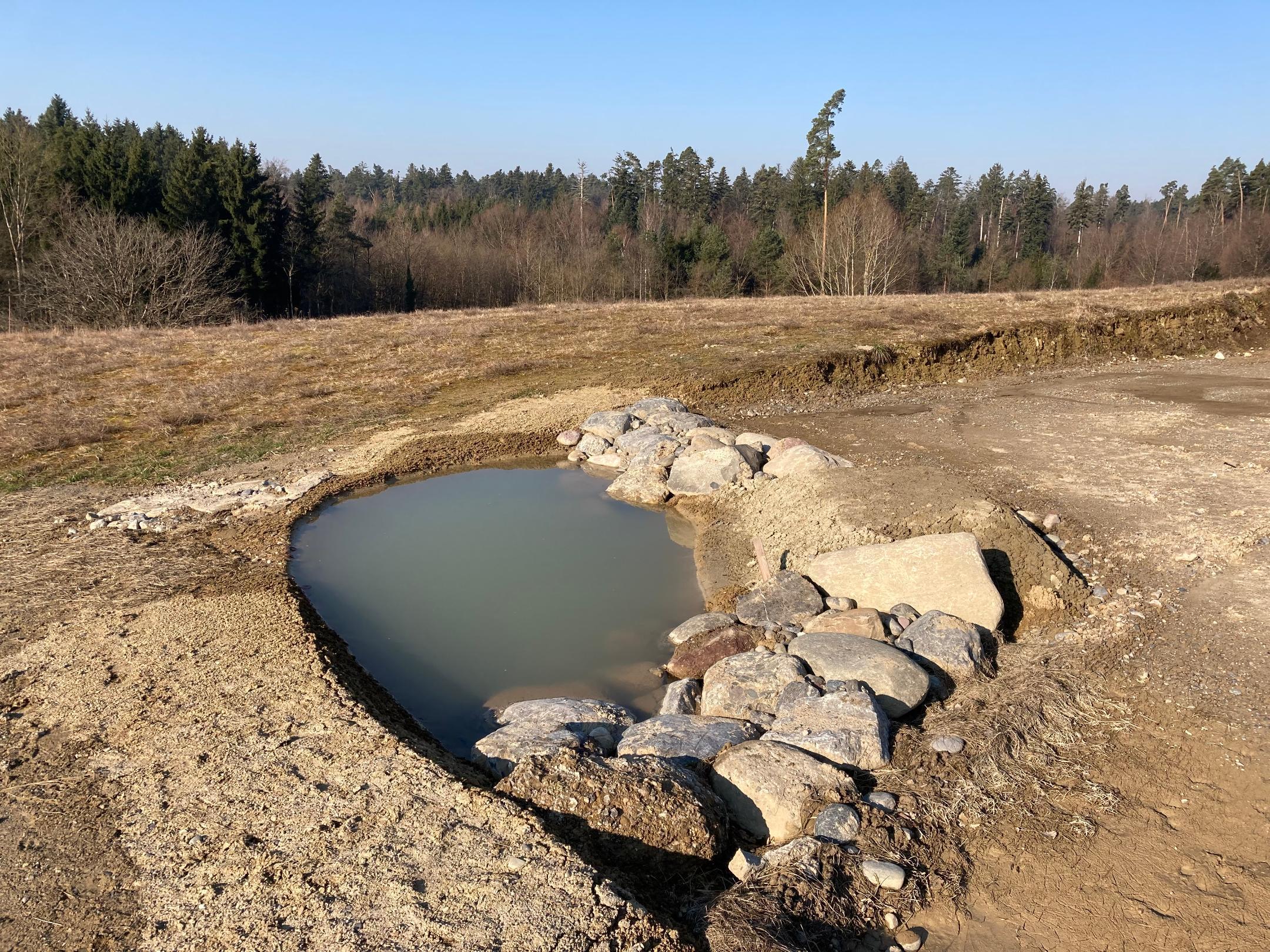 künstlich angelegter Weiher