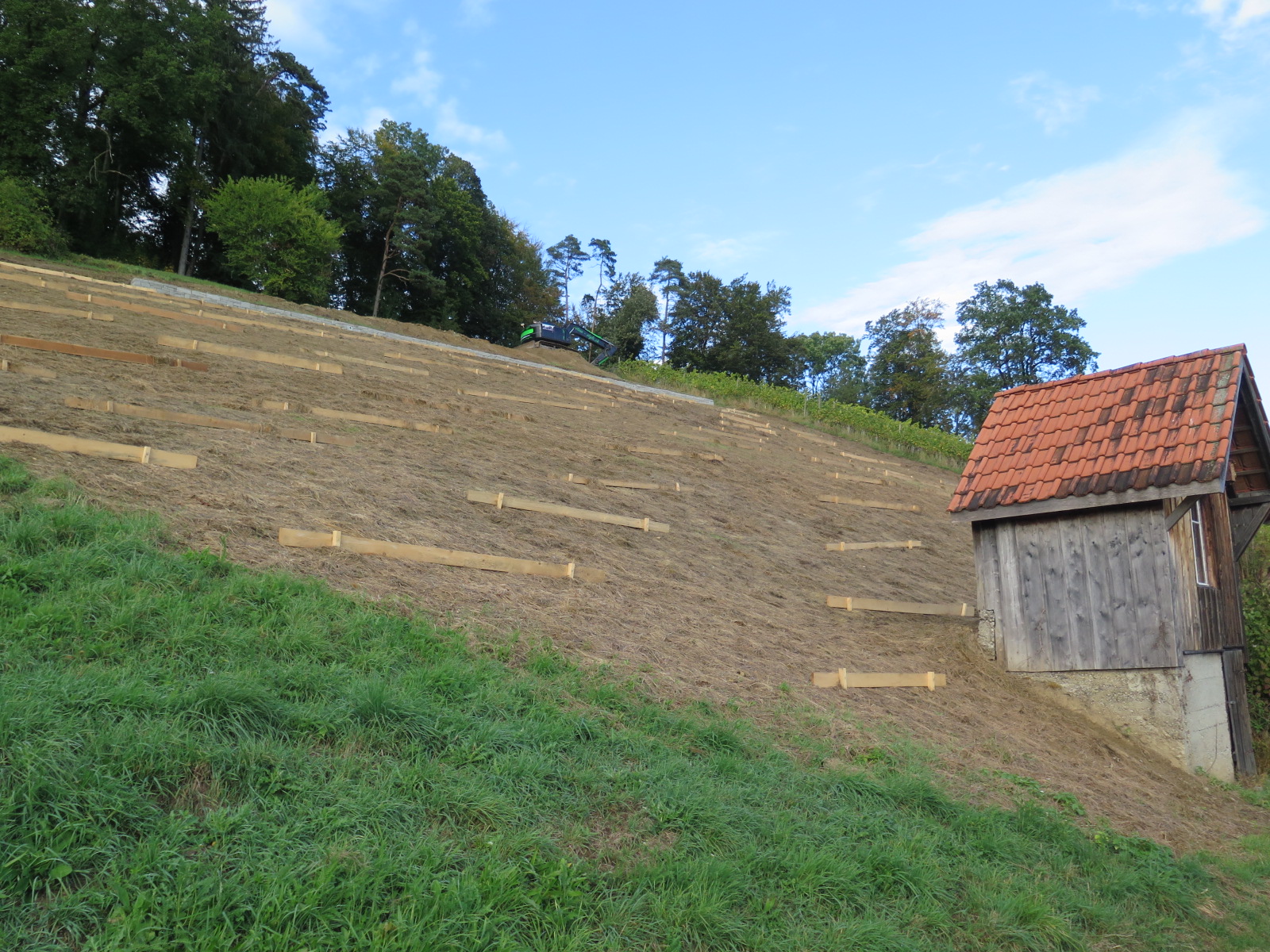 Fläche mit aufgetragenem Schnittgut.