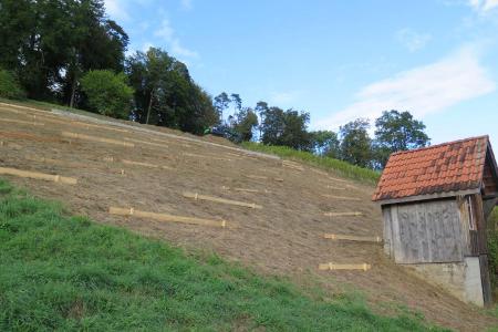 Fläche mit aufgetragenem Schnittgut.