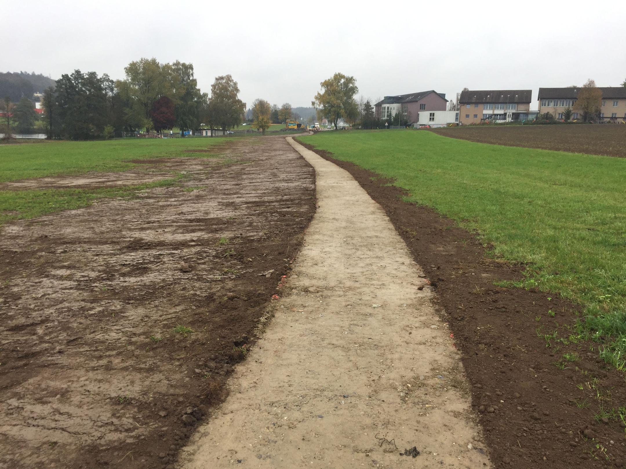 Wegtrasse durch das Gebiet