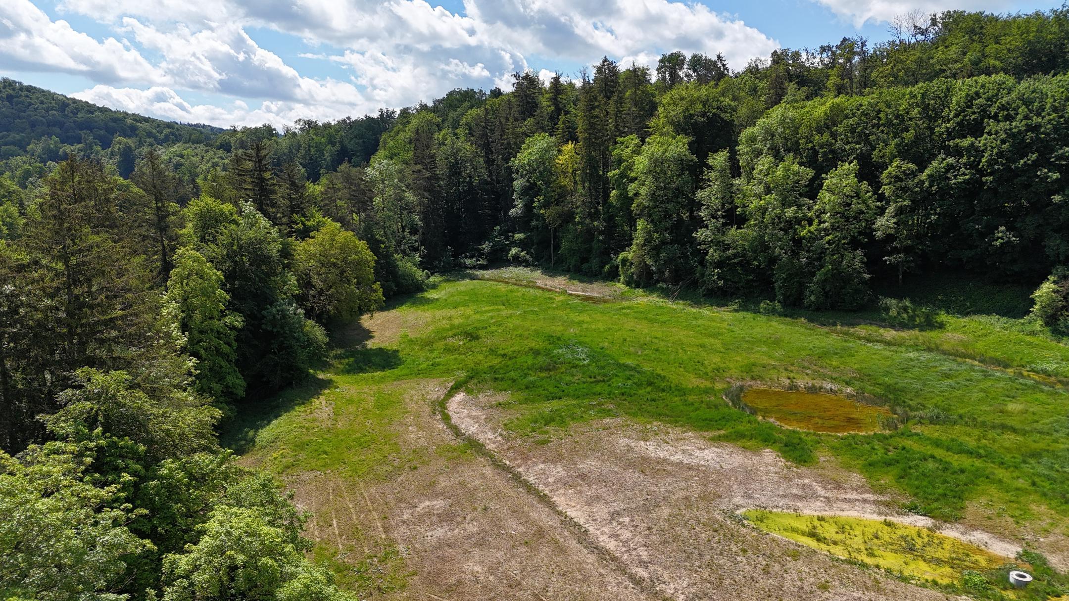 Drohnenaufnahme Neumoos