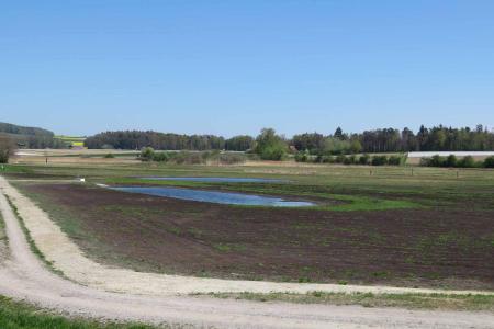 Flachgewässer mit neu angelegtem Ablass.