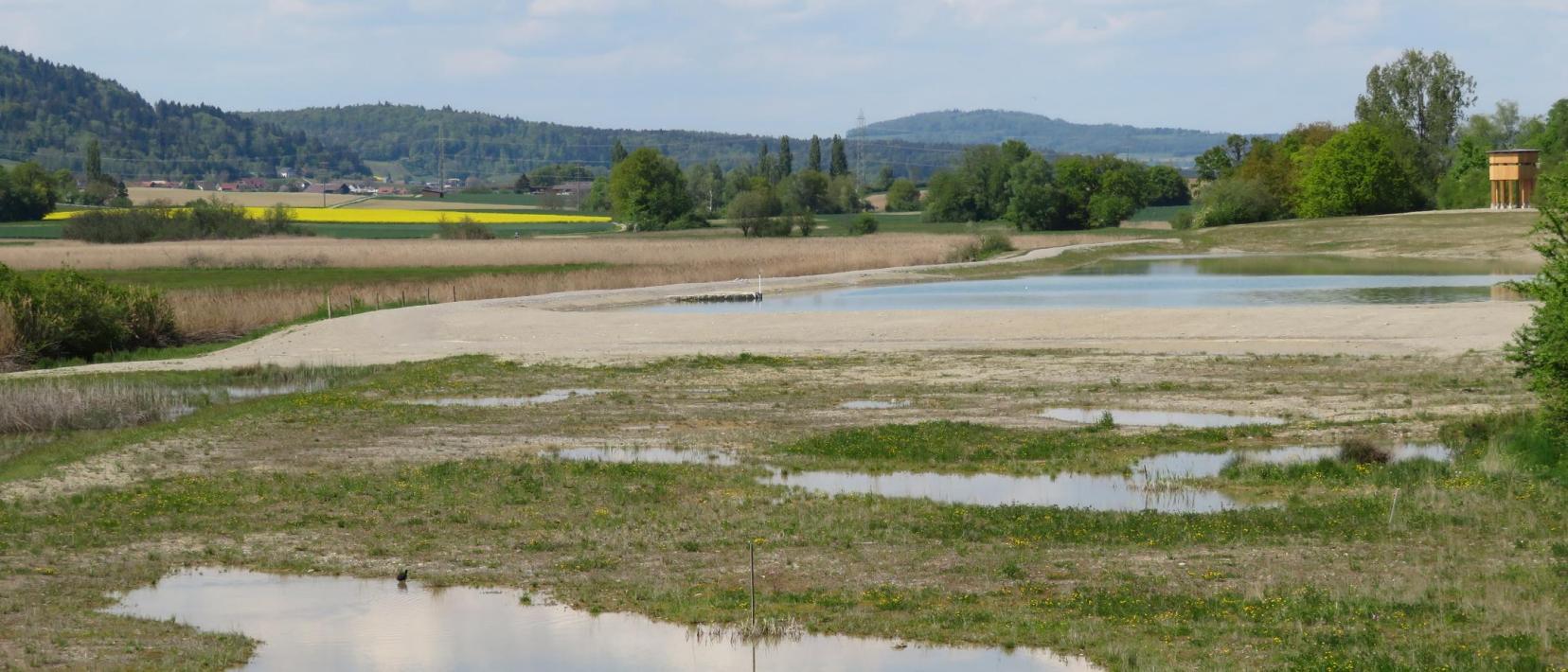 Verschieden grosse Flachgewässer, die nach der Aufwertung entstanden sind.