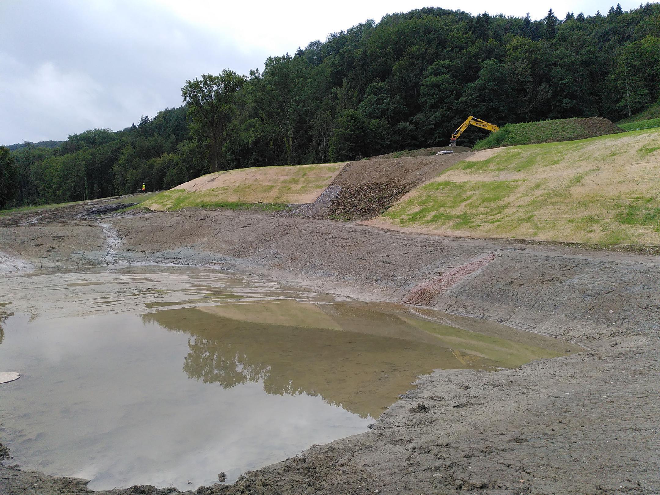 Neu angelegtes Gewässer.