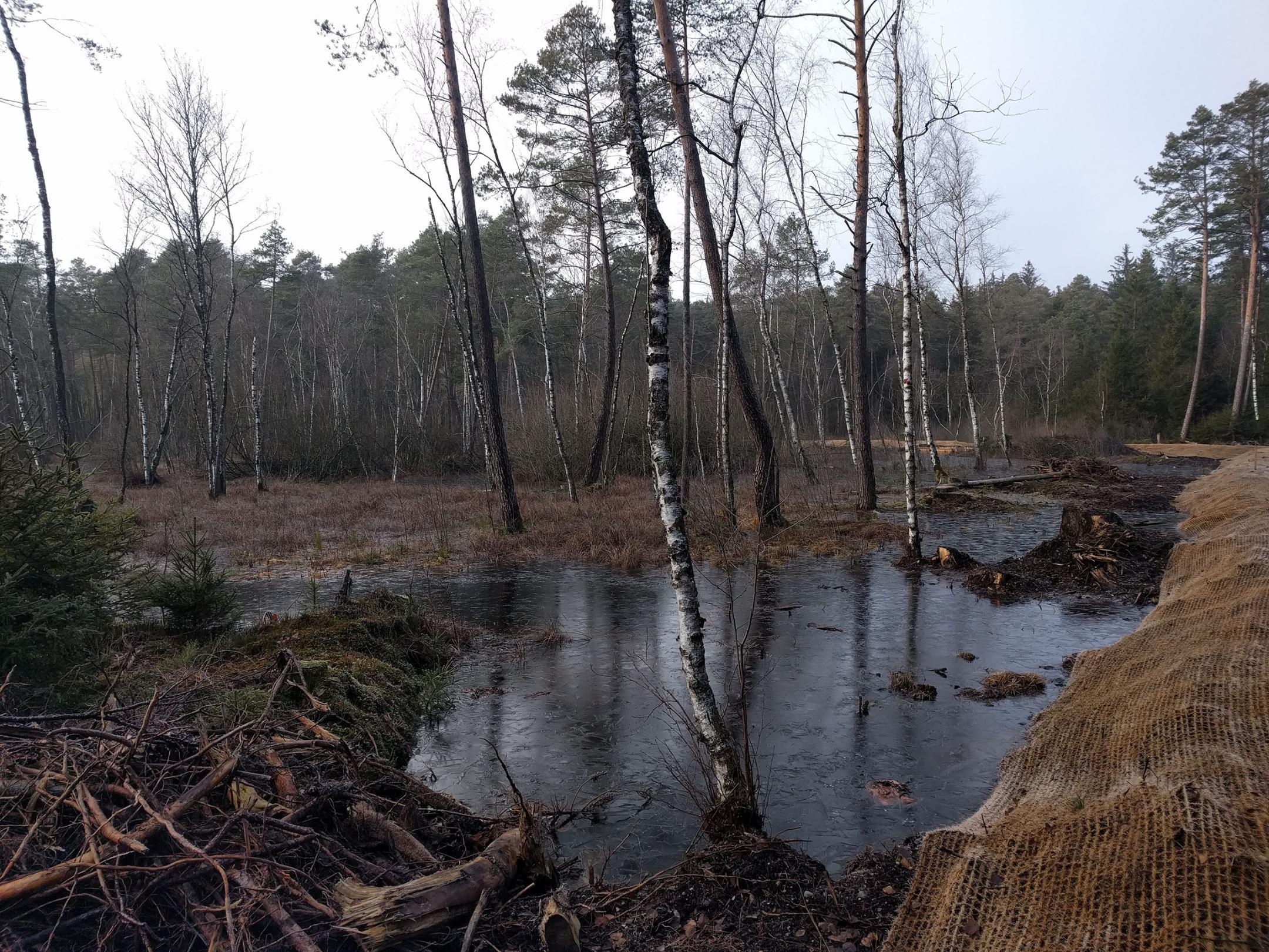 Die Spundwand hält das Wasser zurück