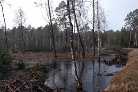 Die Spundwand hält das Wasser zurück