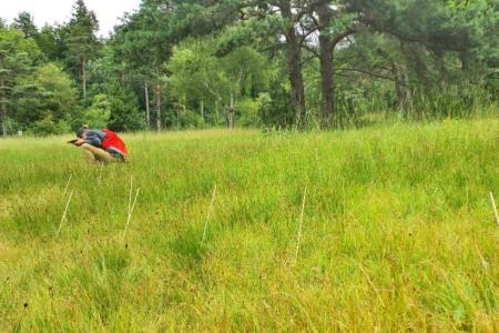 eine Person macht mit einer Fotokamera ein Bild von einem Teil der Wiese, damit die Artenvielfalt später bestimmt werden kann.