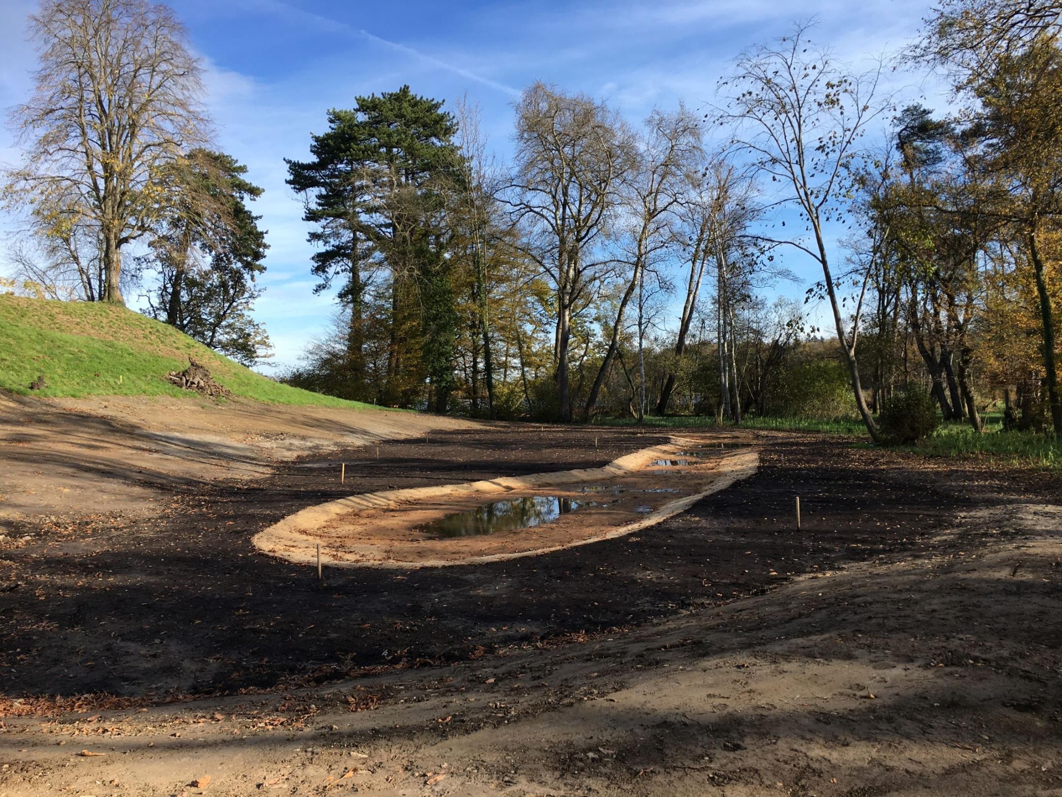 Kleine künstlich angelegte Moorfläche mit Abflussrinne in der Mitte umringt von 20 Bäumen