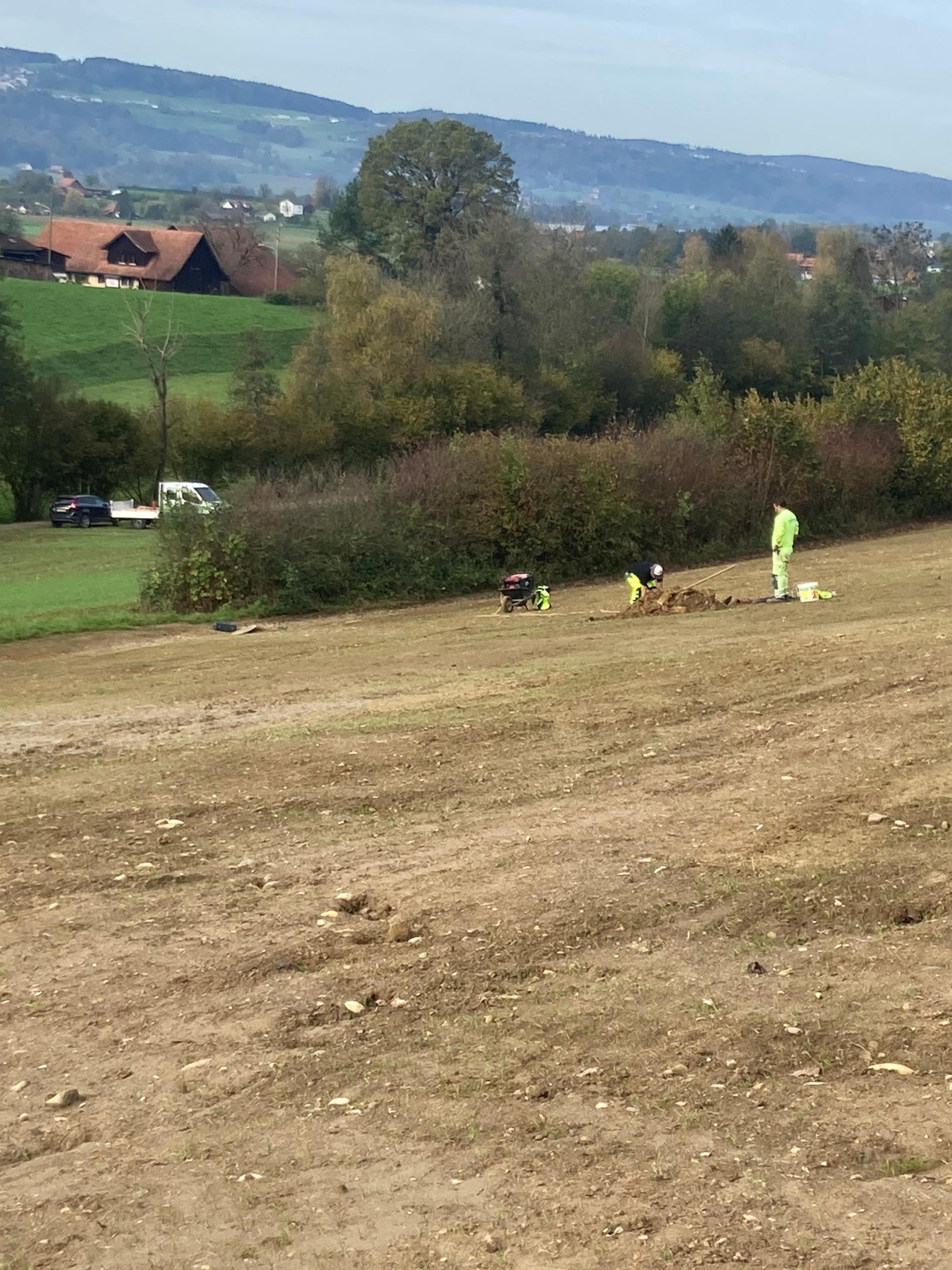 zwei Bauarbeitende kümmern sich um die Zwischenbegrünung, damit der offene Boden nicht erodiert.