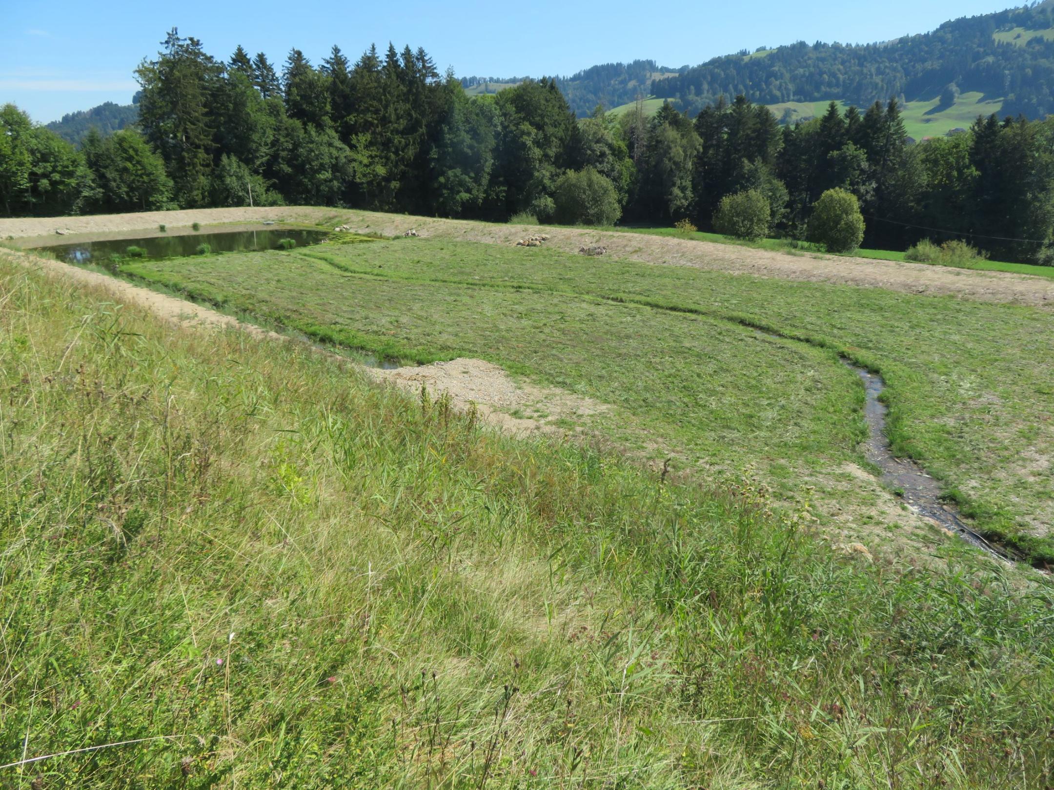 Fast ausgetrockneter Stauweiher mit Dämmen aus Kies