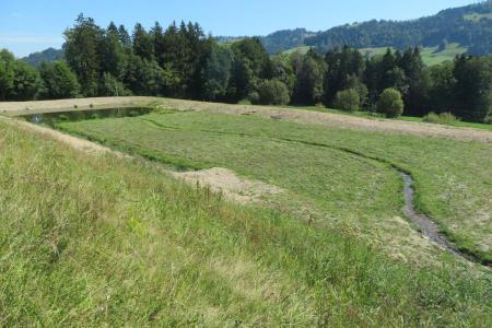 Fast ausgetrockneter Stauweiher mit Dämmen aus Kies