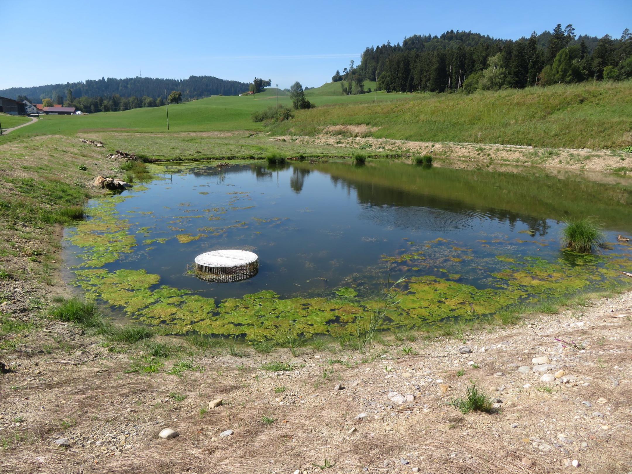 künstlich angelegter Weiher mit Ablassvorrichtung