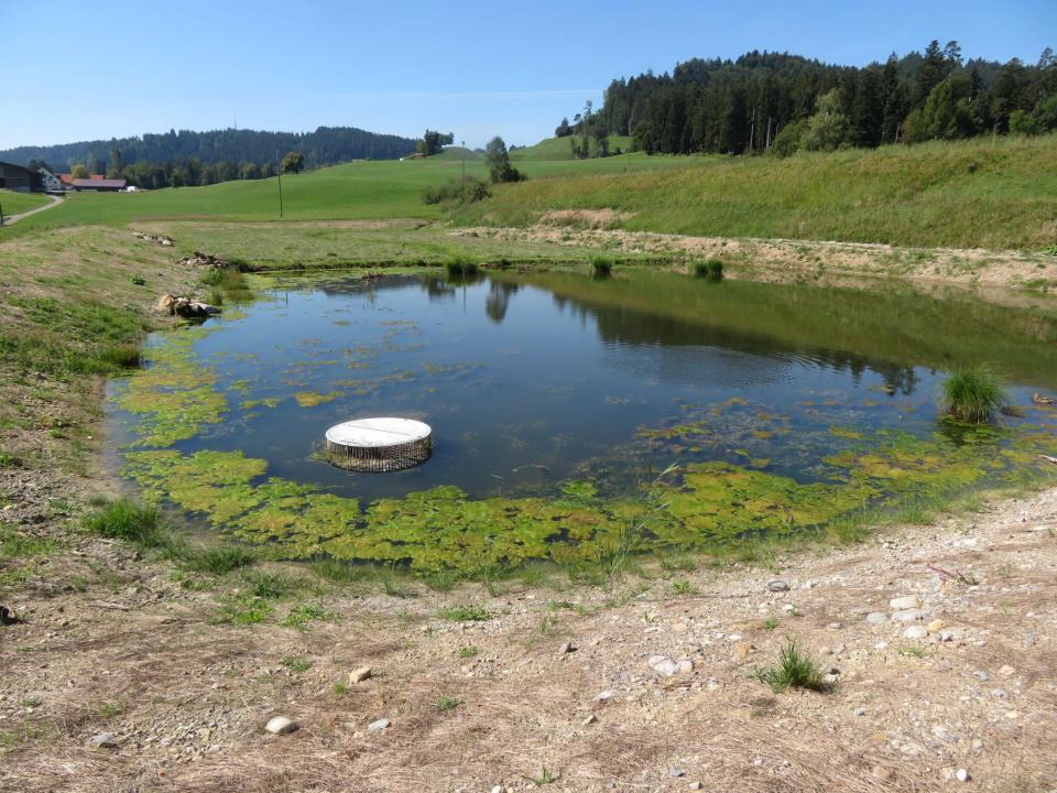 künstlich angelegter Weiher mit Ablassvorrichtung