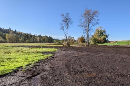 zwei Birken stehen am Rande des abgetragenen Oberbodens.