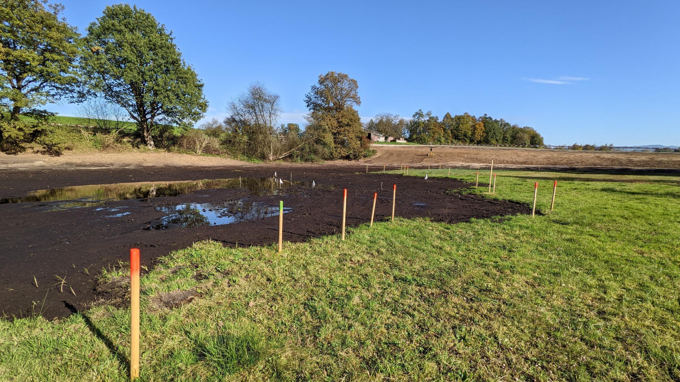 Markierungen aus Holz zeigen auf einem Feld, wo ein Torfstichweiher entstehen soll