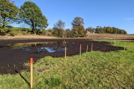 Markierungen aus Holz zeigen auf einem Feld, wo ein Torfstichweiher entstehen soll