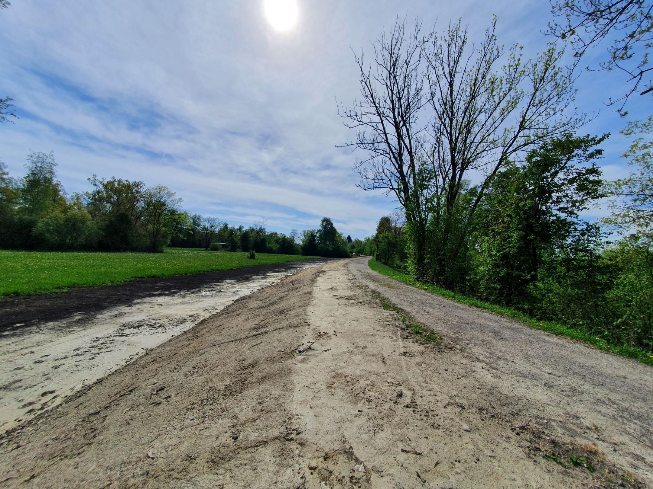 eingebaute, noch nicht bewachsene Spundwand