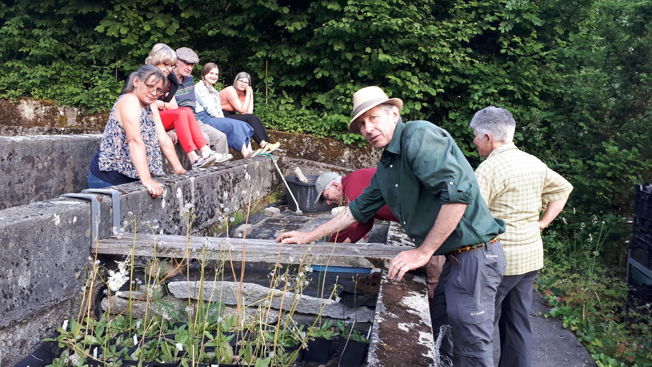 Flora Zwischenvermehrung
