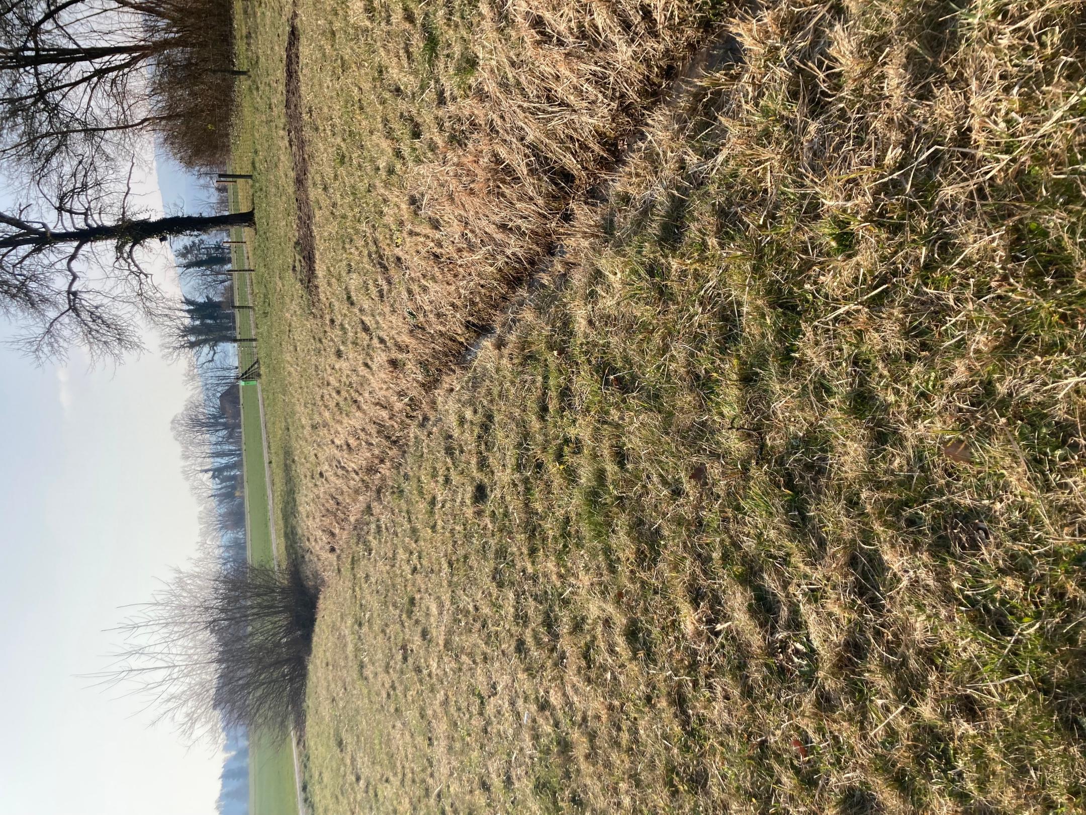 Schwerziweg