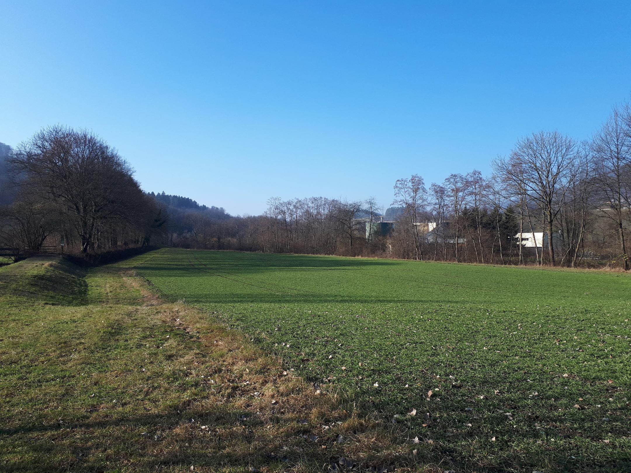 Tössallmend
