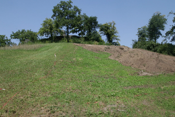 Blick auf Altburghügel