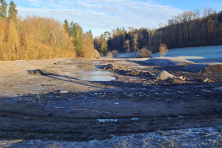 Projekt Bislikon-Munimatten