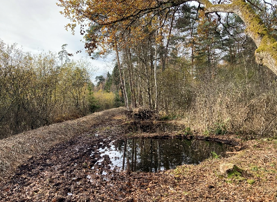 Sanierung Einstau Chrutzelen