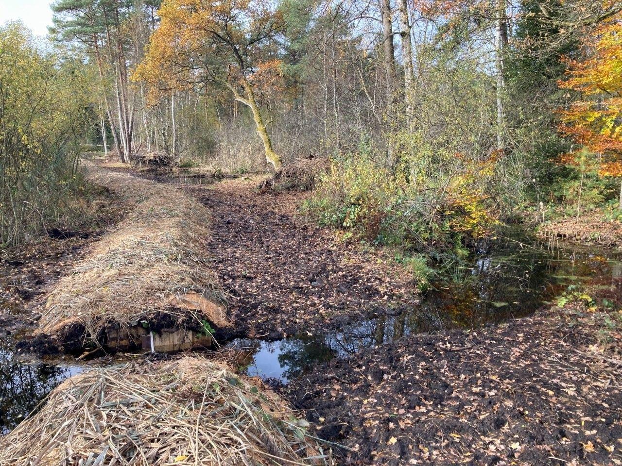 Neuer Einstau Hochmoor Chrutzelen