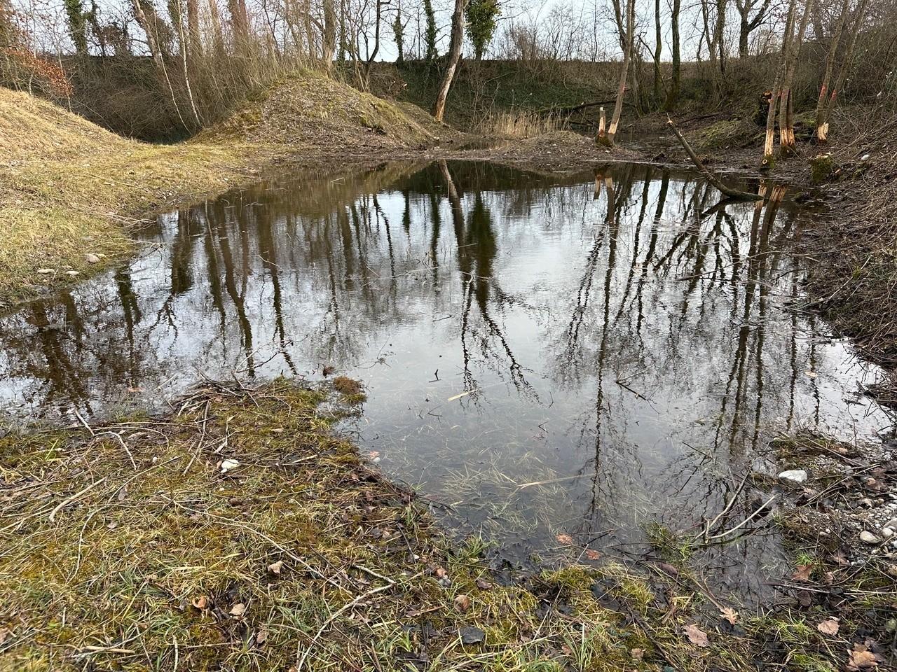 Projekt Ebnet in Flaach