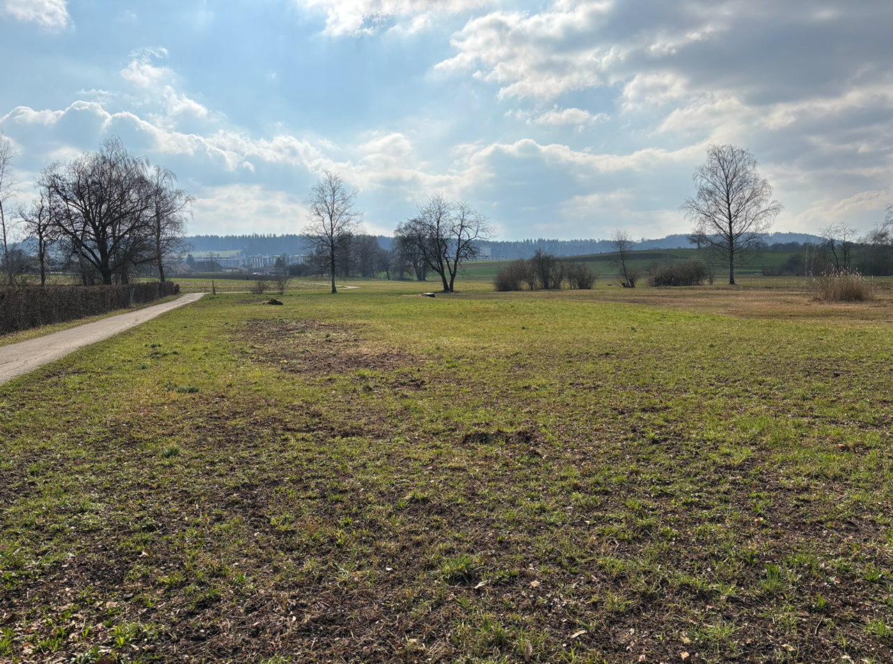Projekt Allmend Katzensee