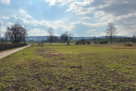 Projekt Allmend Katzensee