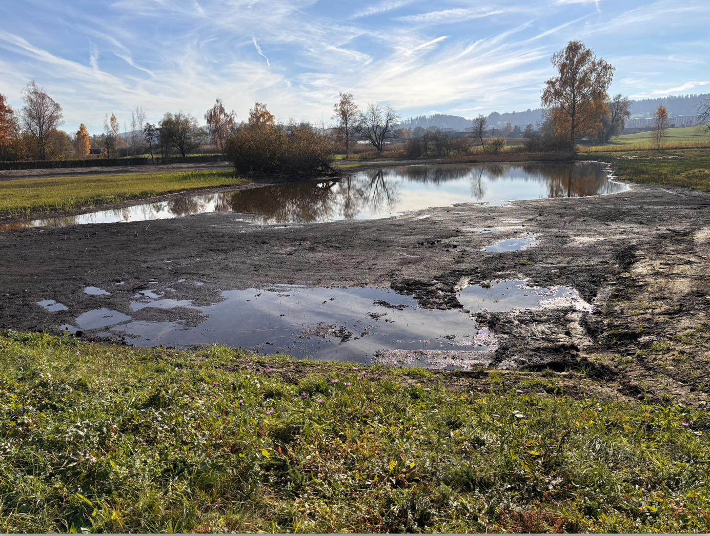 Projekt Allmend Katzensee