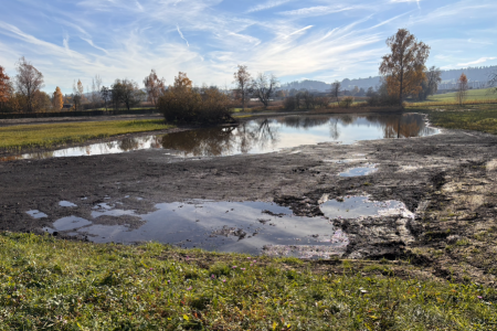 Projekt Allmend Katzensee