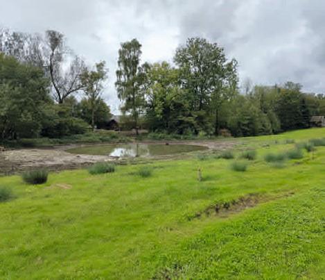 Weiher Boldern Naturnetz Pfannenstil