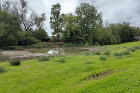 Weiher Boldern Naturnetz Pfannenstil