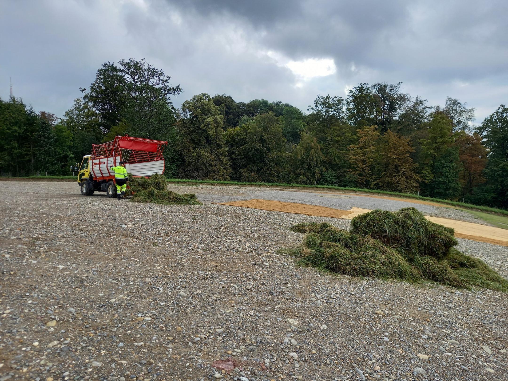 Schaffung Magerwiese