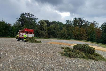 Schaffung Magerwiese