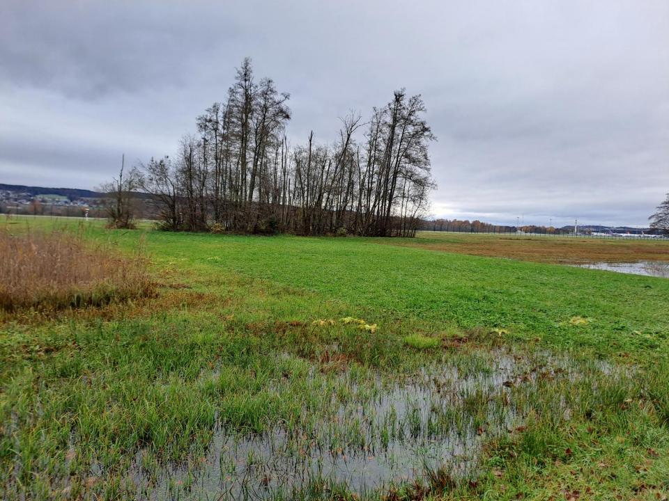 Projektperimeter vor Start