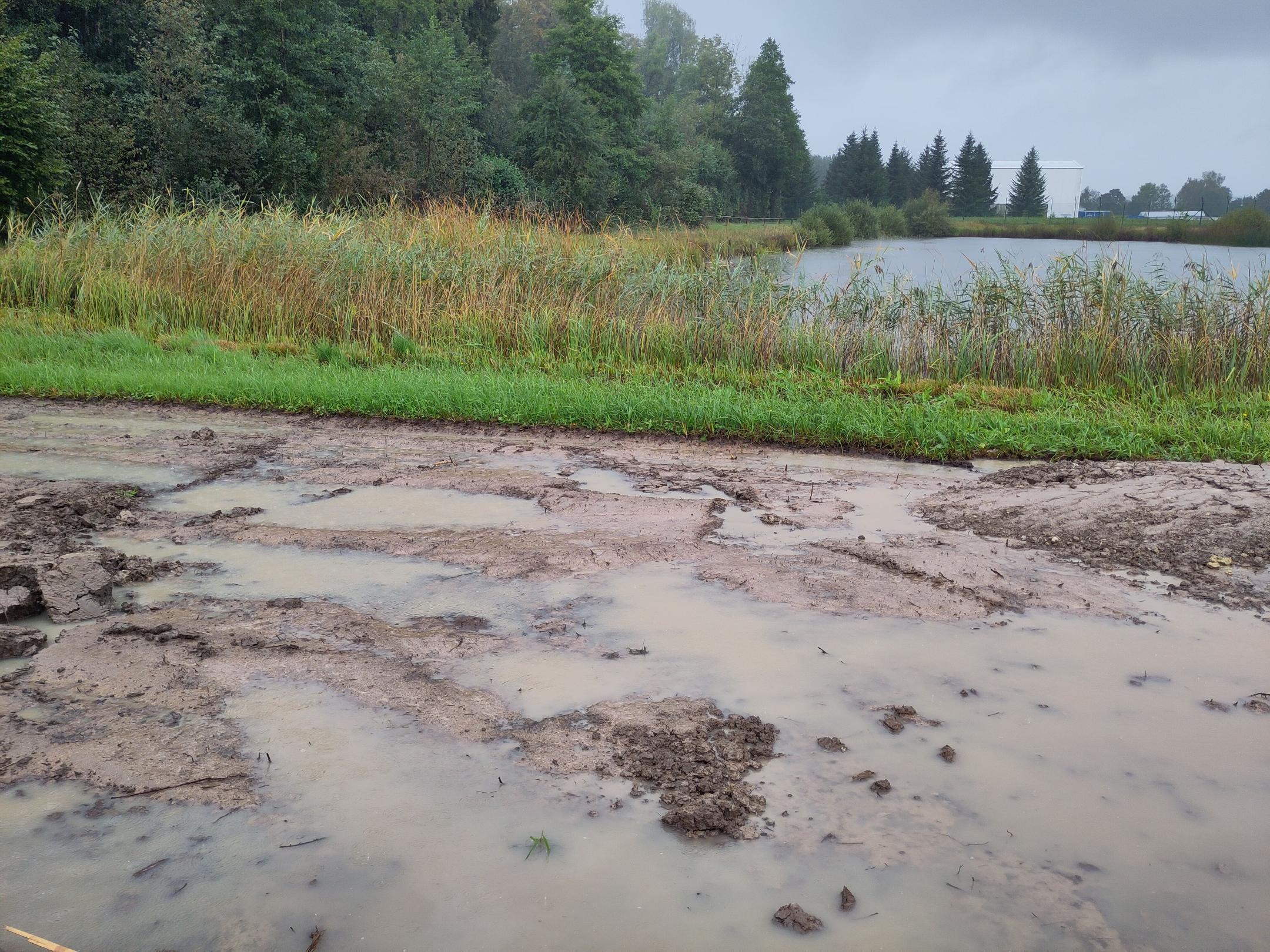 Projektgebiet während Ausführungsarbeiten