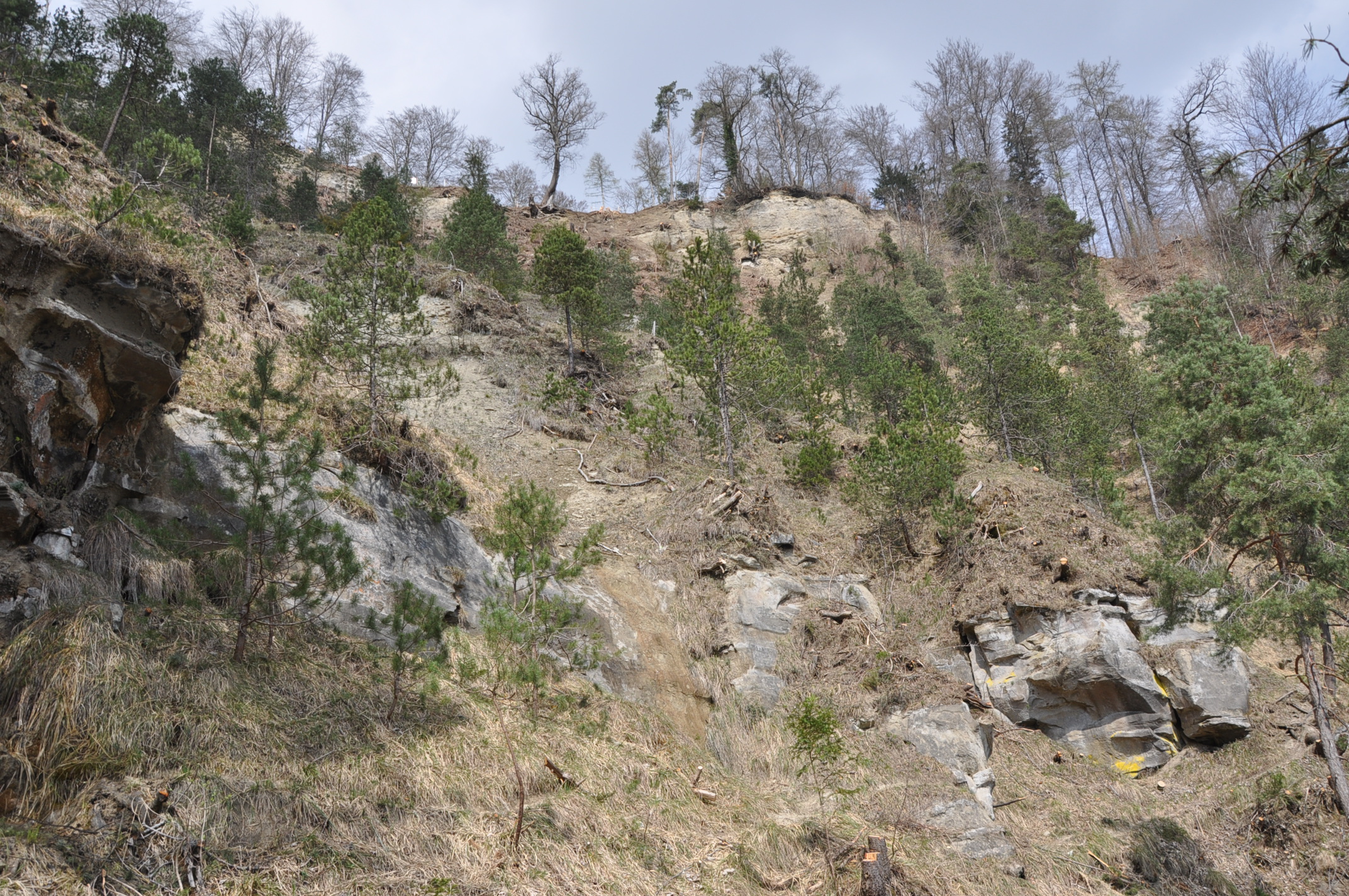 Blick in die Fallätsche