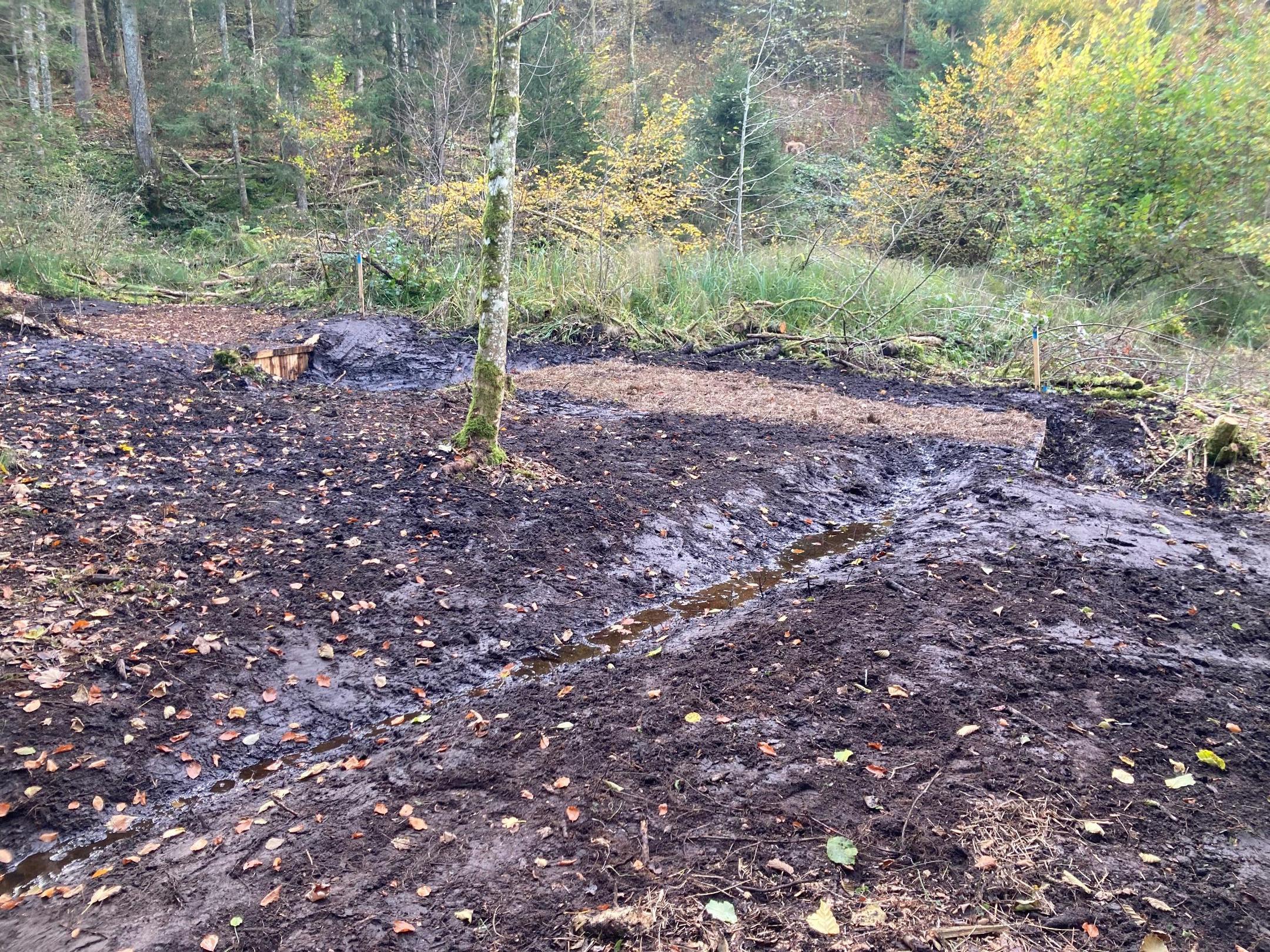 Entwässerungsgraben